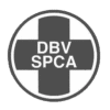 DBV-Kroonstad_Logo-greyscale-t_k876-V